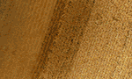 Agrosem_IB_310x90_NewStyle