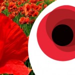 fb6-eng