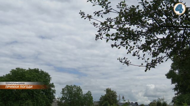 vlcsnap-2020-07-13-16h32m14s343