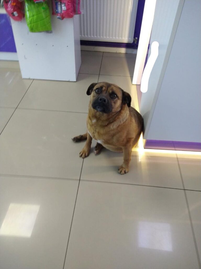 173217092_830519217545634_7301760034044046021_n