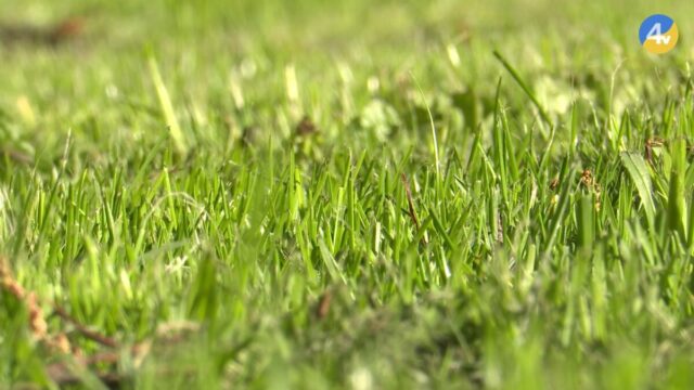vlcsnap-2025-05-02-13h39m47s903