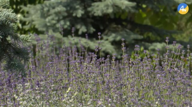 Screenshot_4