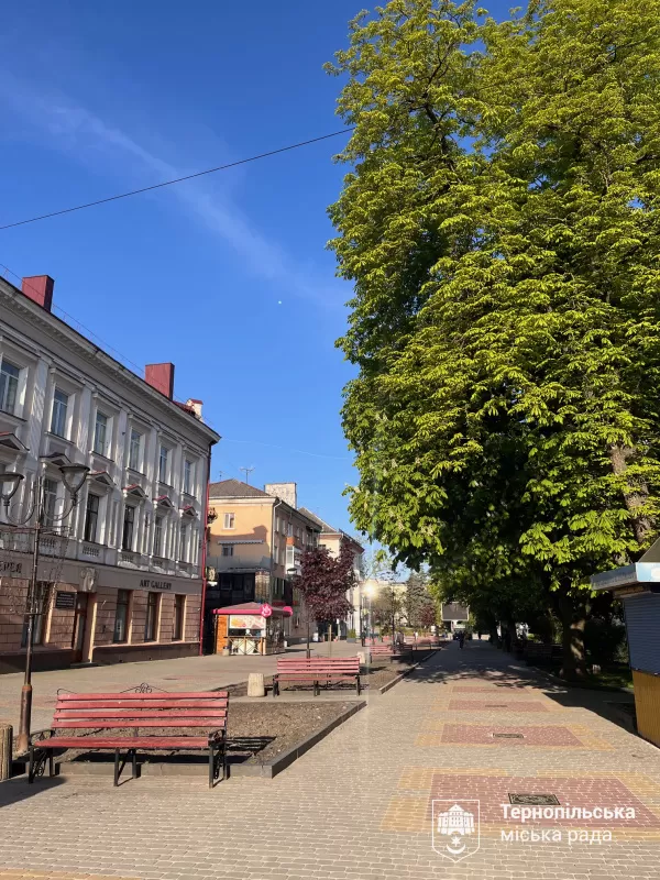 зірка