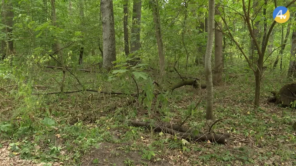 vlcsnap-2025-11-07-19h47m51s312