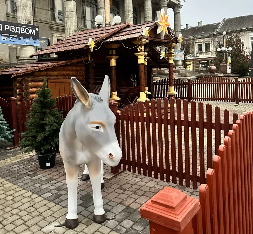 golovne-foto-shopka-10_12_25