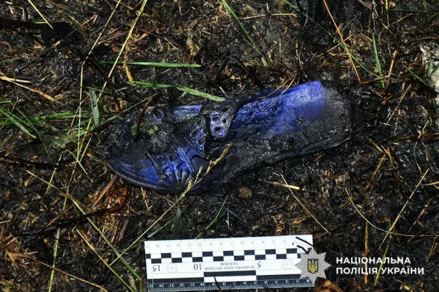 697c6d8133b76734042283