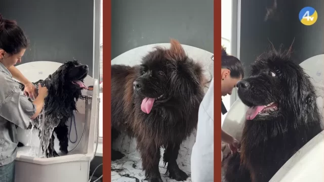 vlcsnap-2026-03-02-15h09m50s381