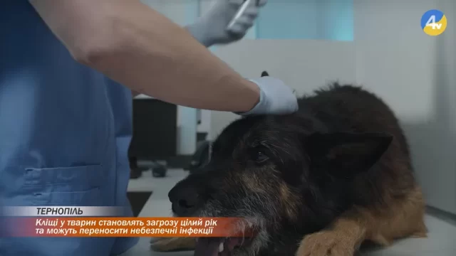 vlcsnap-2026-03-25-16h11m28s746