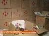 Волонтери з ГО «Десантно-козацький рій» відправили на фронт 5 вантажівок із великодніми пакунками