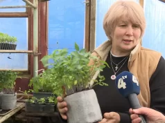 Вчена-агрономка Ольга Вергун розповіла про вирощування овочів у своїй теплиці