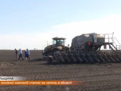 Цьогоріч на Тернопільщині відзначають вищу урожайність окремих культур порівняно з минулим роком