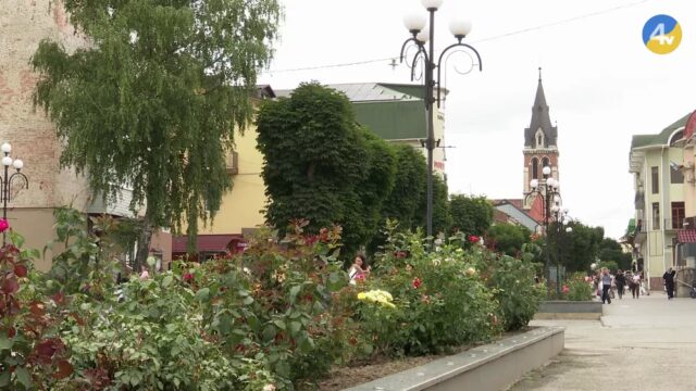 vlcsnap-2026-07-22-17h00m49s245