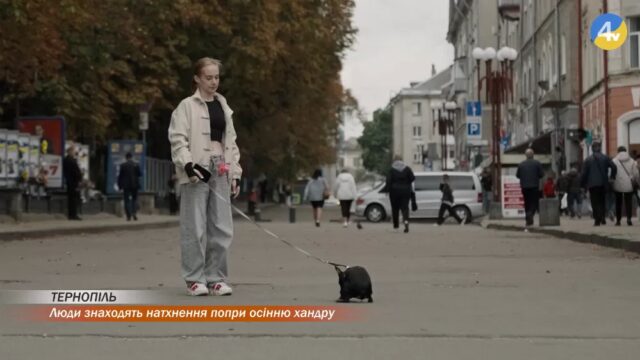 vlcsnap-2026-09-25-16h09m56s764