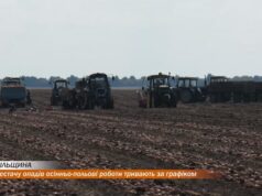 Попри нестачу опадів осінньо-польові роботи тривають за графіком